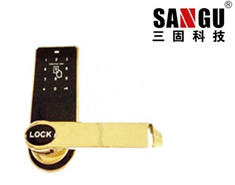 密碼感應門鎖SRM888
